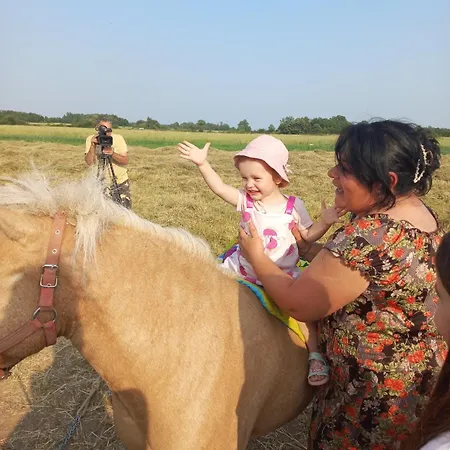 Brvnara Radisavljevic Sikole * 네고틴