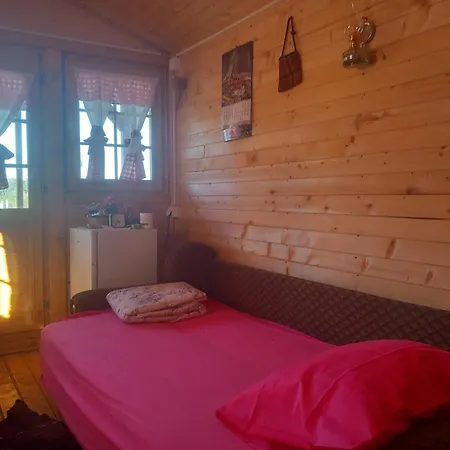 Brvnara Radisavljevic Sikole 롯지 *