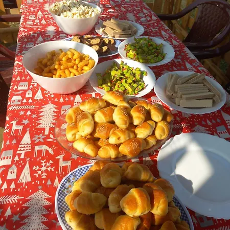 롯지 Brvnara Radisavljevic Sikole 네고틴