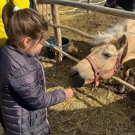 Brvnara Radisavljevic Sikole *